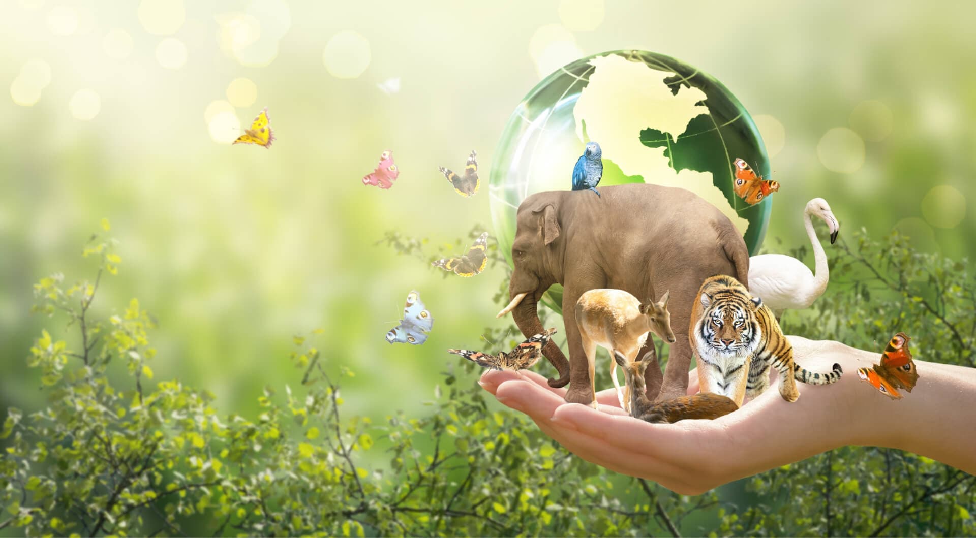 animals and planet earth