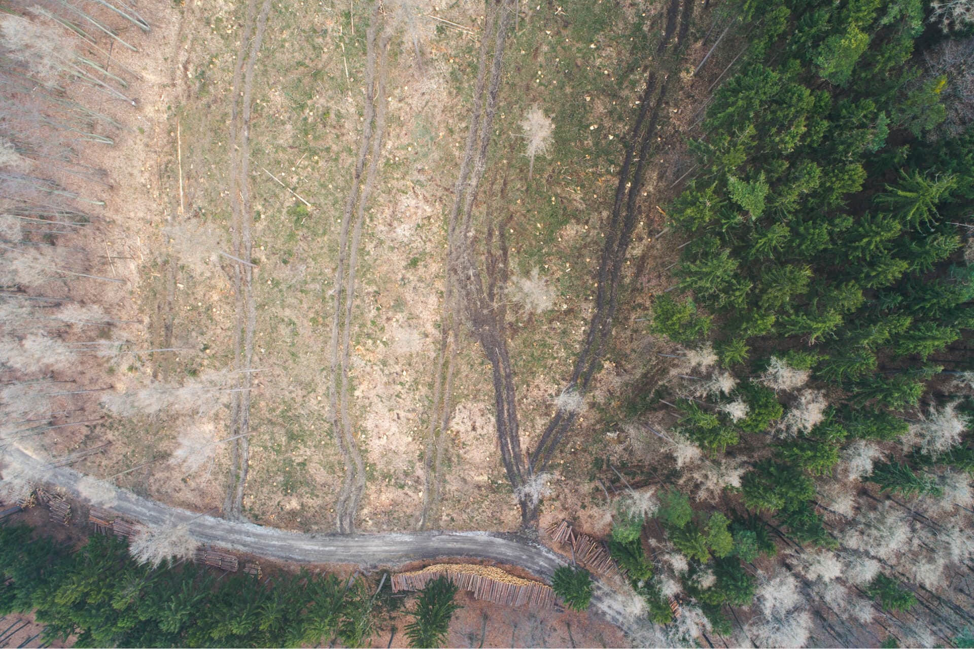 aerial view with road