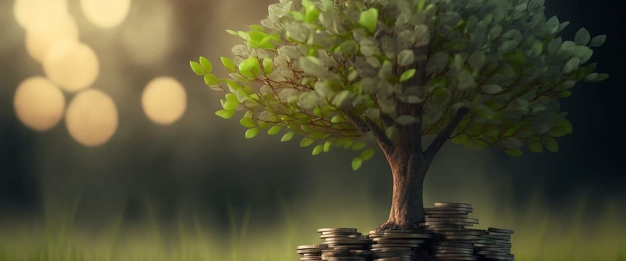 Money tree and coins
