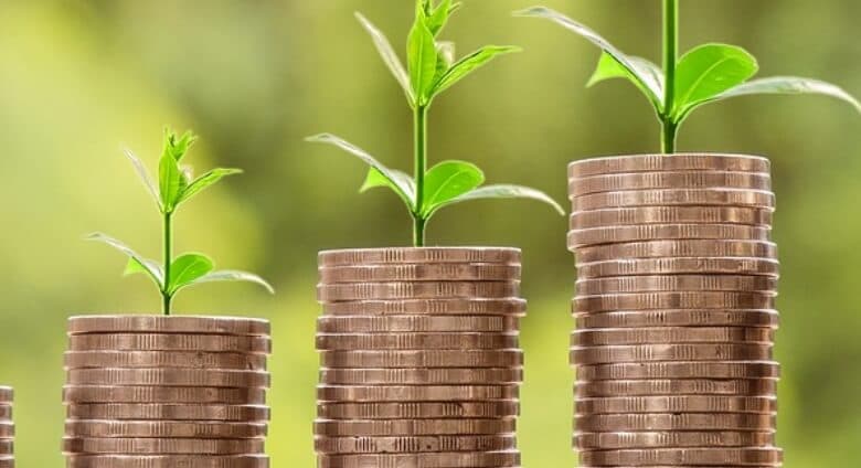 Money with Tree